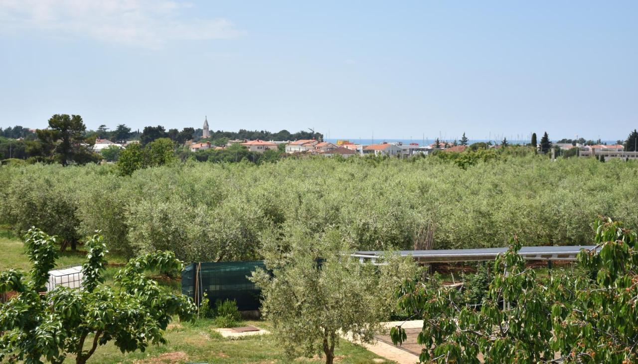 Apartmani Diana Novigrad Istria Buitenkant foto